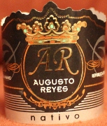 Augusto Reyes Nativo