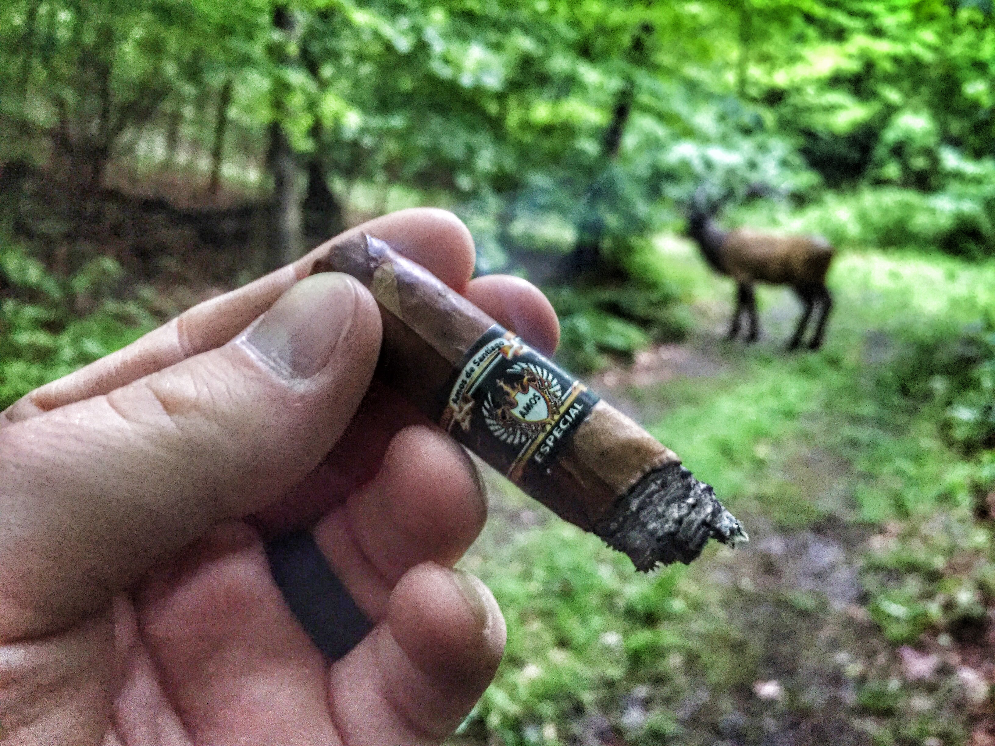 Elk cant reists a good cigar