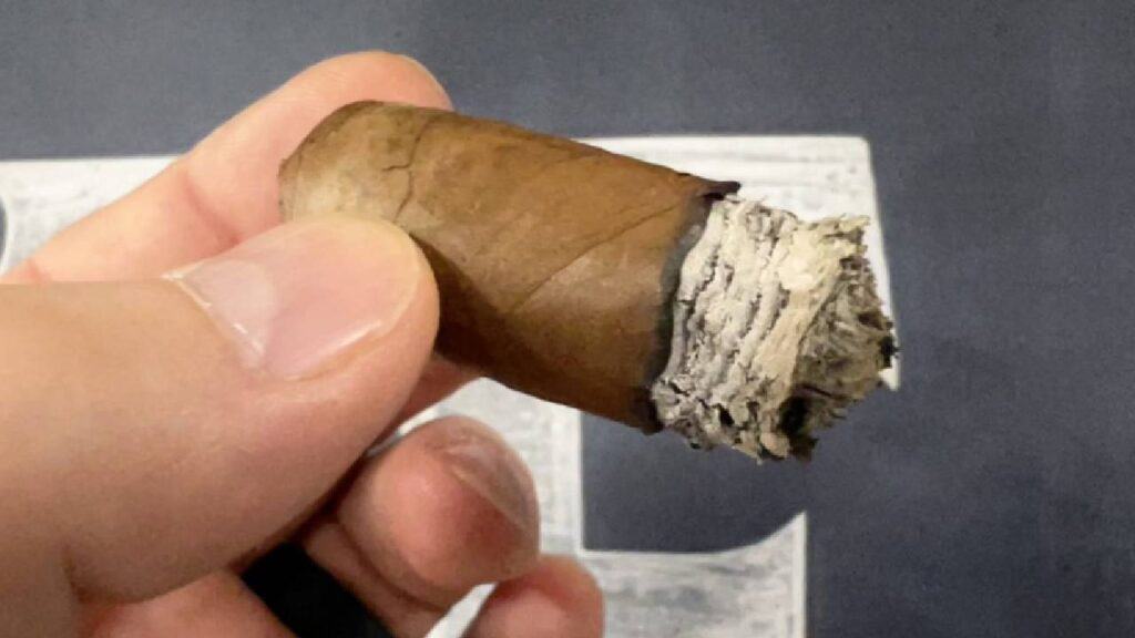 LA Cigar Collective Gris Gris Cigar Review - Stogie Review - 6